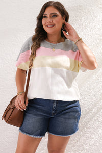 Online White Colorblock Patchwork Batwing Sleeve Ribbed Plus T Shirt