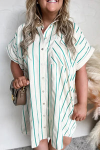 Green Stripe Short Sleeve Buttoned Shirt Dress